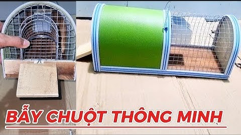 Bẫy chuột thông minh an toàn hiệu quả cho người sử dụng 