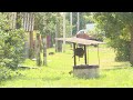 Высохли огороды и краны: в ярославском селе перебои с водой длятся уже не первый месяц
