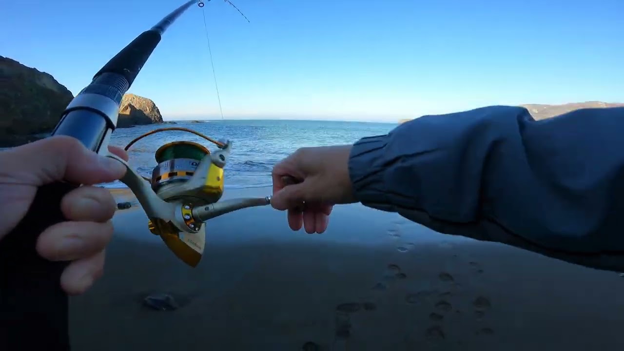 Surf perch fishing at Marin city..........12 .5. 2025