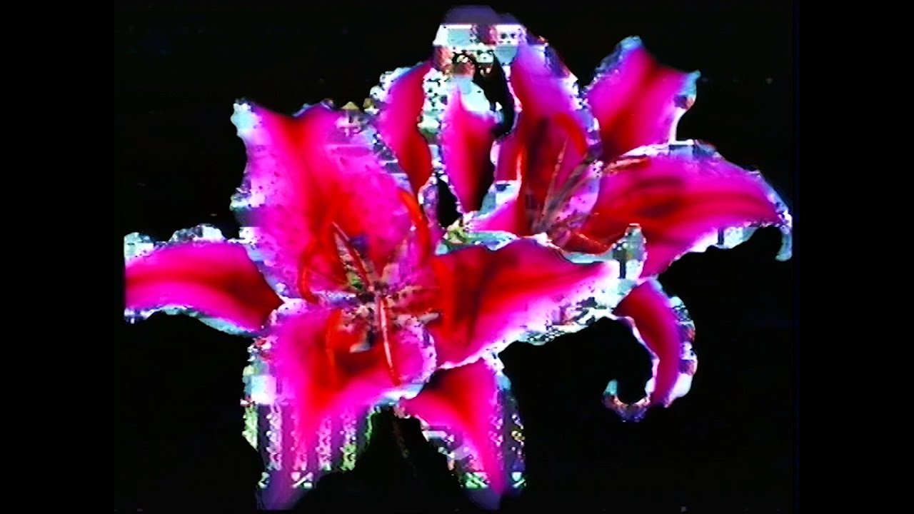 Captain Ghostnote - Dragonfly's Call (ako remix) clip [jazz / vaporwave / synthfunk / synthpop]