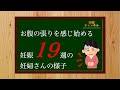 【妊娠19週】お腹の張りを感じ始める!?妊娠19週の妊婦さんの様子について