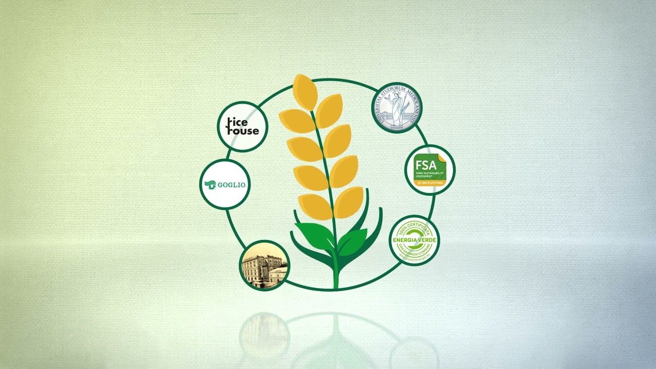 Riso Gallo Sustainability (Sustainable Rice Platform)