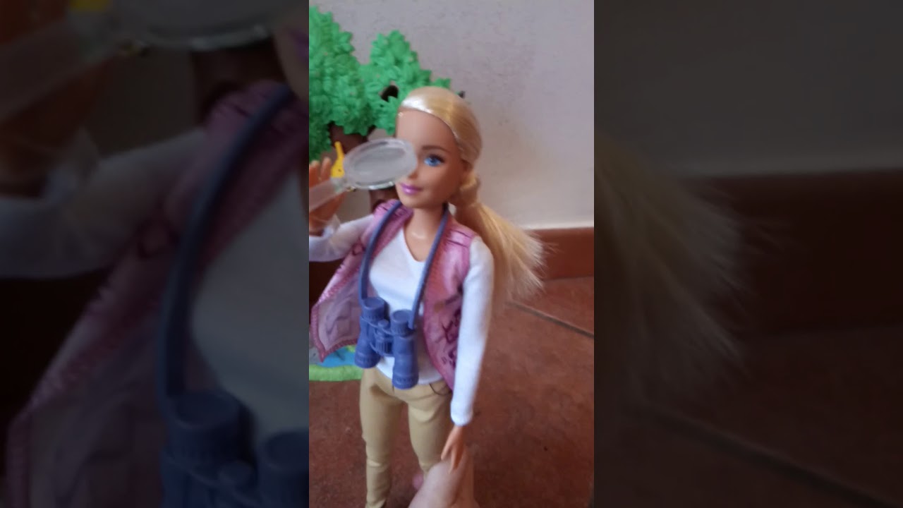 barbie entomologa