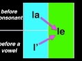 Definite Articles in Italian