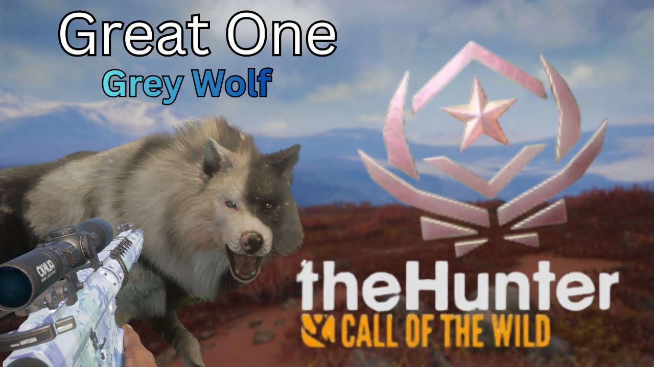 My first great one gray wolf in cotw