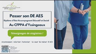 Le Diplôme Detat Daccompagnant Educatif Et Social Deaes Au Cfppa Dyssingeaux