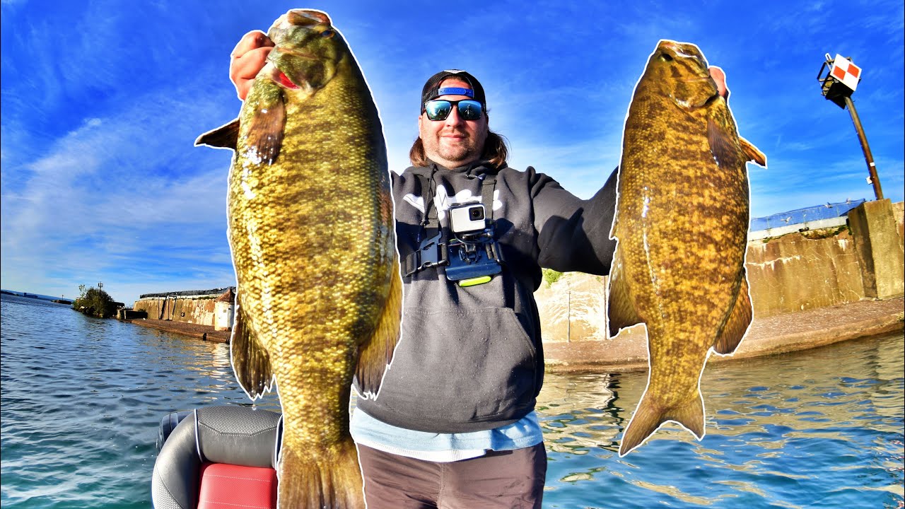 Smallmouth Bass Fishing on Lake Erie! (Fishing the Ned Rig) YouTube