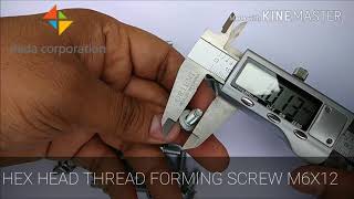 M6X12 FLANGE HEX HEAD THREAD FORMING D TYPE SCREW DIN 7500 SIO 4042 M6X12 FLANGE HEX HEAD THREAD FORMING D TYPE SCREW DIN 7500 SIO 4042