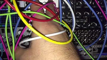 Modular Experiment with Mob of Emus and Maestro