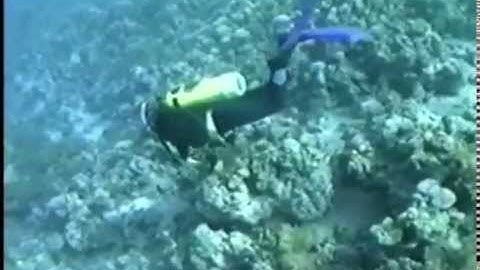 MOSES & Exodus part 3