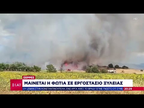 Πυρκαγιά στο χωριό μεσαίο κοντά στη Θεσσαλονίκη και φωτιά σε εργοστάσιο ξυλείας στις Σέρρες