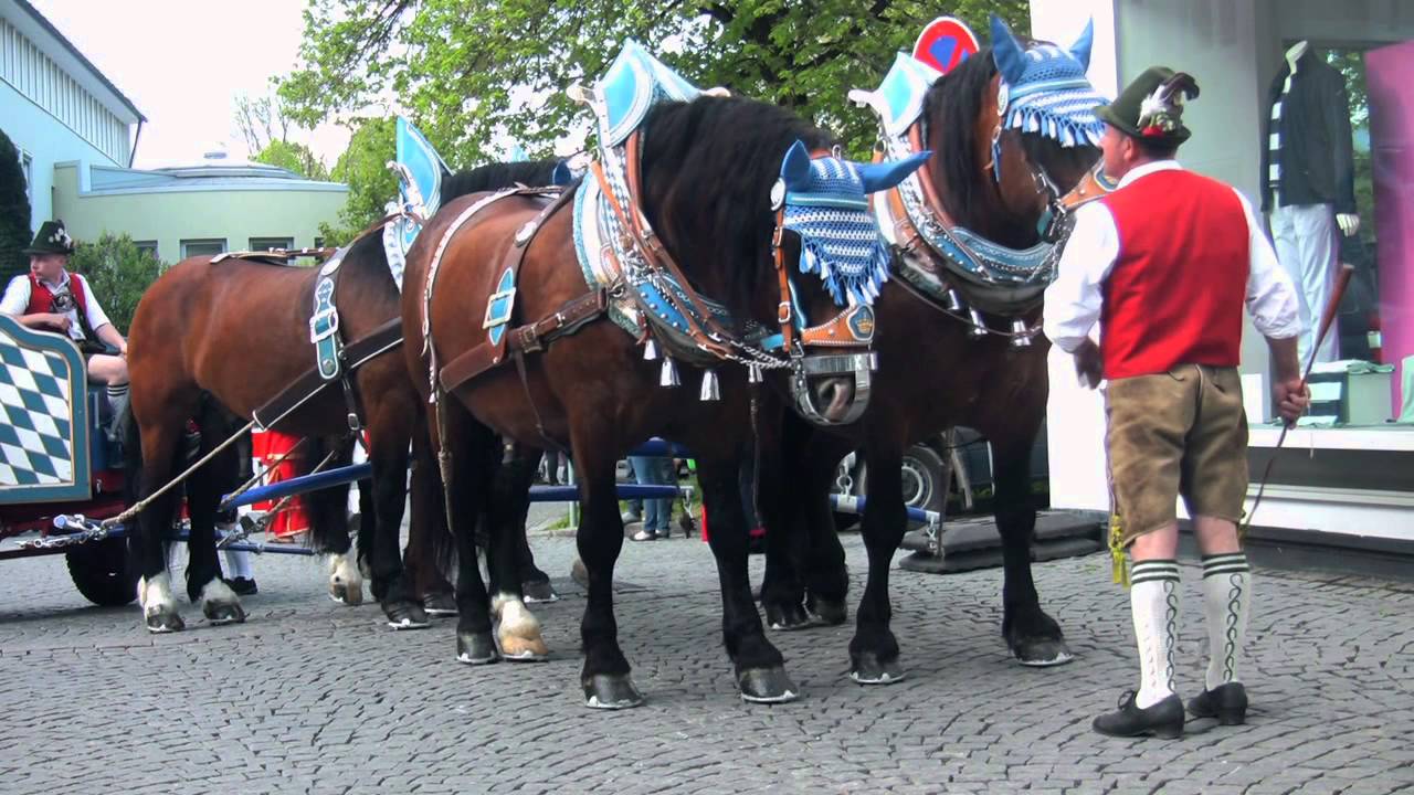 Holzkirchner Frühlingsfest 2013 eröffnet! besucher management