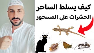 كيف يرسل الساحر الحشرات على بيت المسحور وماهي أسرع طريقة للعلاج وطردهم بشكل نهائي بإذن الله