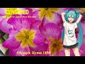 【Hatsune Muku NT (New Type)】オリンピック賛歌 1958;Olympic Hymn 1896【Piapro Studio for NT】初音ミクNT