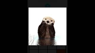 1 Foto 1 Pista Nivel 12 Solución Android screenshot 3