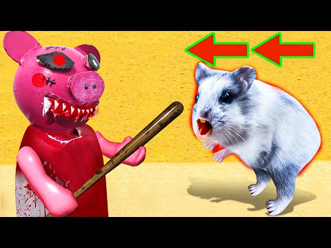 Piggy Roblox Hamster Obstacle Course Maze With Traps Gaint Ant Youtube - roblox hamster game