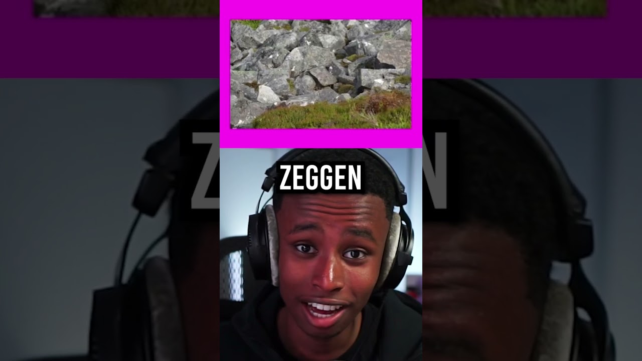 Kan Jij De Vogel Zien? 🐦