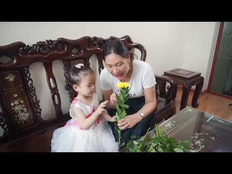 Dạy trẻ :Nhận biết Hoa hồng, hoa cúc . Độ tuổi : 18-24 tháng