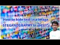 స్టెగానోగ్రఫీ: మీ సున్నితమైన డేటాను చిత్రంలో ఎలా దాచాలి? తెలుగు వివరణ 📸