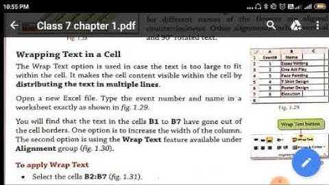 Class 7 - Chapter I - Formatting Cell Content in MS Excel- Part 4