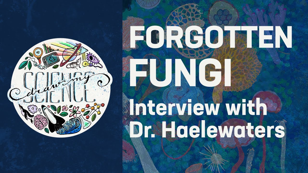 Draw my science Ep.02: Forgotten Fungi, with Dr. Danny Haelewaters