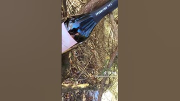 Thumbnail of Need ideas for your bottles of Copenhagen Sparkling Tea?! https://Sparklingtea.co/inspiration/