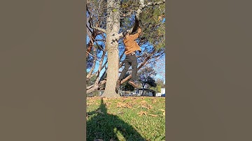 Hanging in there. #reels #shorts #climbing #trees