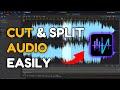 How To Cut And Split Audio In AudioDirector 2025