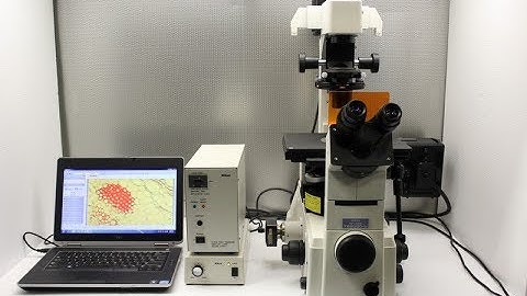 Nikon Eclipse TE2000-U Inverted Microscope Pred. to Ti-U / TI2 [BOSTONIND] - 12190