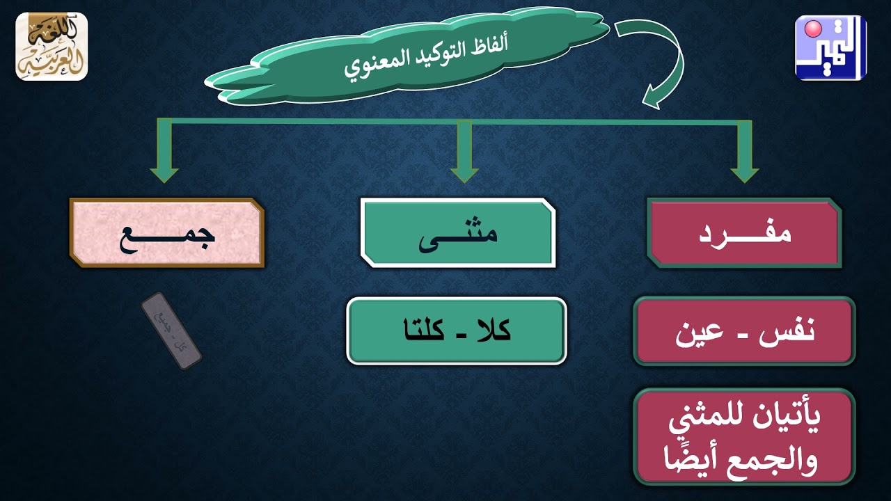 الصف التاسع - اللغة العربية  - التوكيد