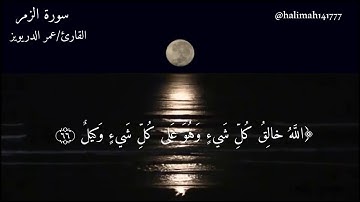 الله خالق كل شيء {القارئ: عمر الدريويز}✨🍃