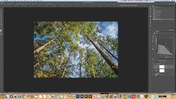 Using Color Lookup Tables