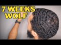 7 Weeks Wolfing: Restarting my 360 Waves Pattern!