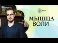 Как понять, что наступает утомление и переутомление? Ранние признаки. Еще чуть-чуть и "порвался"!