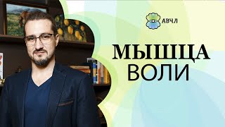 Как понять, что наступает утомление и переутомление? Ранние признаки. Еще чуть-чуть и 