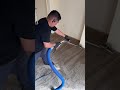 Over 500 pet stains !!!