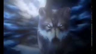 Mystic Wolf video slot (Rival Gaming software)