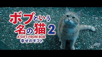 映画「ボブという名の猫２　幸せのギフト」2022年2月25日（金）全国公開 　世界中を希望と感動で包んだ【奇跡】の大ヒット猫映画、待望の続編！