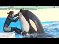 『鴨川シーワールド』シャチパフォーマンス♪終了後の風景④（2019/05/26）