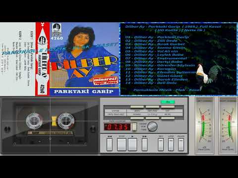 Dilber Ay - Parktaki Garip  ( 1985 )  Full Kaset  ( HD Kalite ) ( Nette İlk )