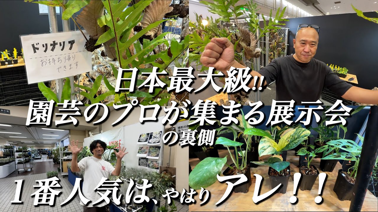 EP#002 アマゾンへ行こ〜 in Kyoto 日本最大級!! 園芸のプロが集まる展示会の裏側【Vlog】