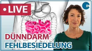 SIBO  frühzeitig erkennen und richtig behandeln | medical INSIGHTS