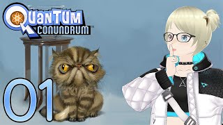 Quantum Conundrum #1: Fluffy & Heavy Dimensions (Part 1)