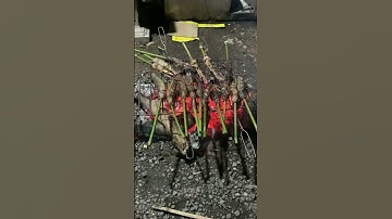 Cá lóc cá trê nướng than hoa thơm ngon #nest #snake #animals