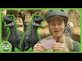 DINO SCAVENGER HUNT!! | T-Rex Ranch Dinosaur Videos