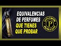 🚀EQUIVALENCIAS de PERFUMES de BUENA CALIDAD y BAJO PRECIO | PERFUMARTE