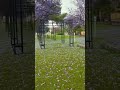 شارع الفن ابها السعوديه