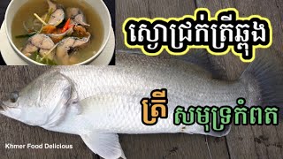 ស្ងោជ្រក់ត្រីឆ្ពុងខេត្រកំពត ឆ្ងាញ់ខប់ៗម៉ងបងប្អូន ស្ទូចបានស្រស់ៗយកមកធ្វើម្ហូប/Fish Soup, khmer Food