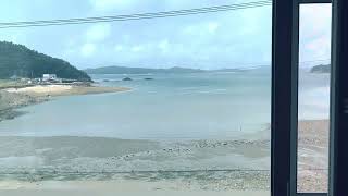 태안비치리조텔 오션뷰