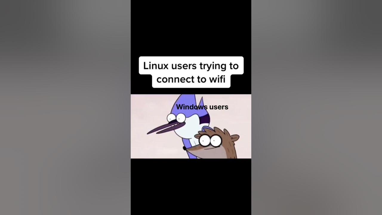 Arch Linux User & a Wifi #linux #foss #linuxdistros #funny #memes #software #gentoo #linuxworld Arch Linux User & a Wifi #linux #foss #linuxdistros #funny #memes #software #gentoo #linuxworld